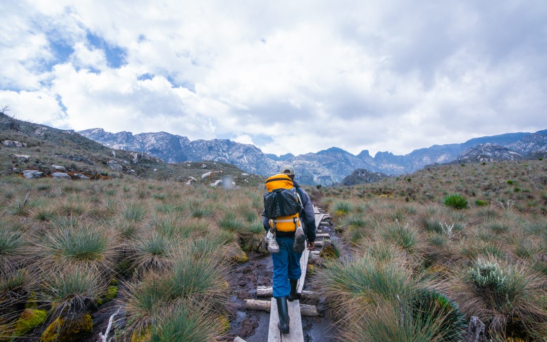 Uganda leisure & safari tour – gorillas, Rwenzori mountain climb, chimpanzees and wildlife – 12 days best of Uganda