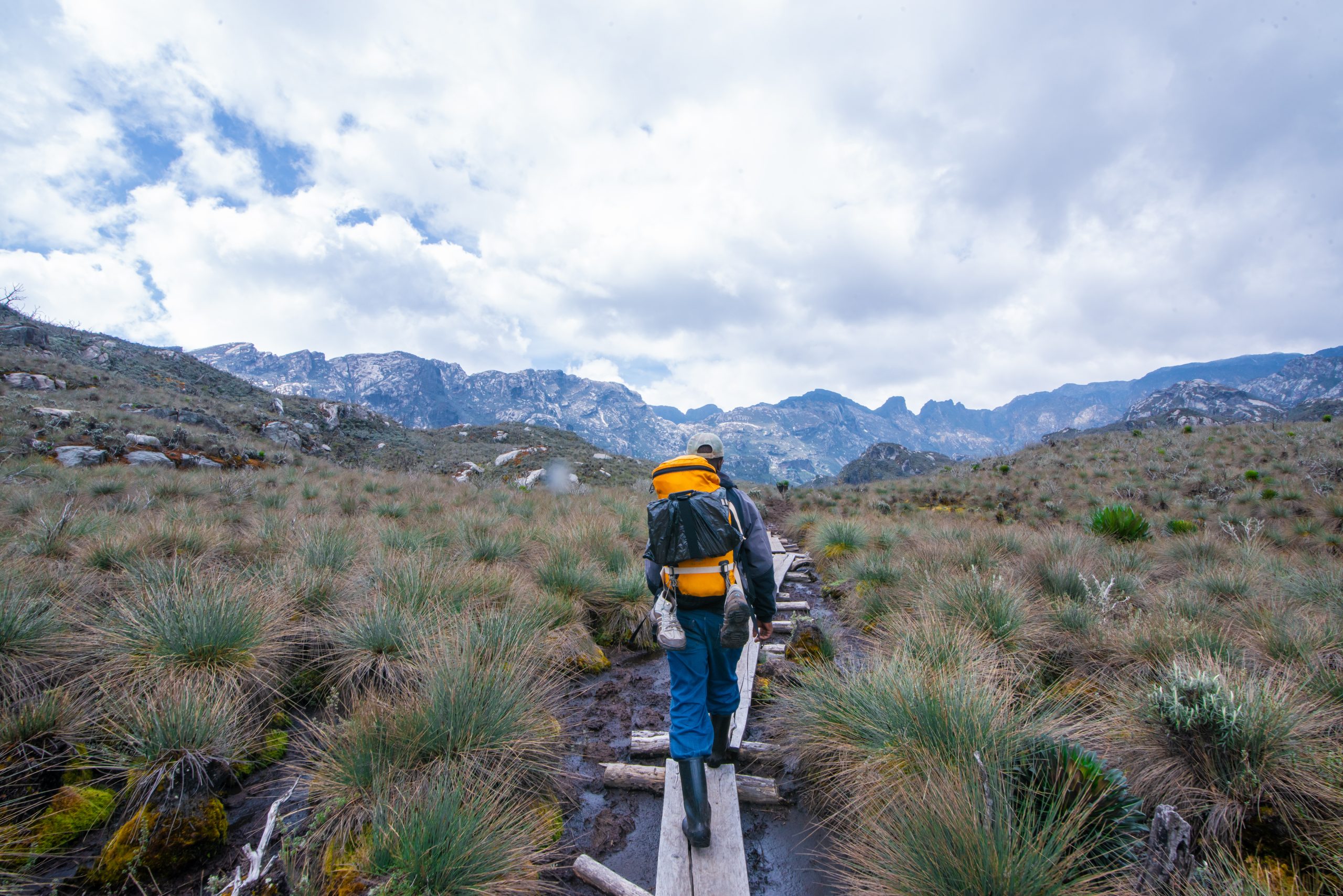 image_rwenzori_safaris_lusso_expeditions