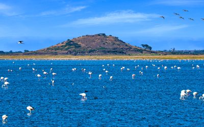 2 Days 1 Night Lake Nakuru Trip