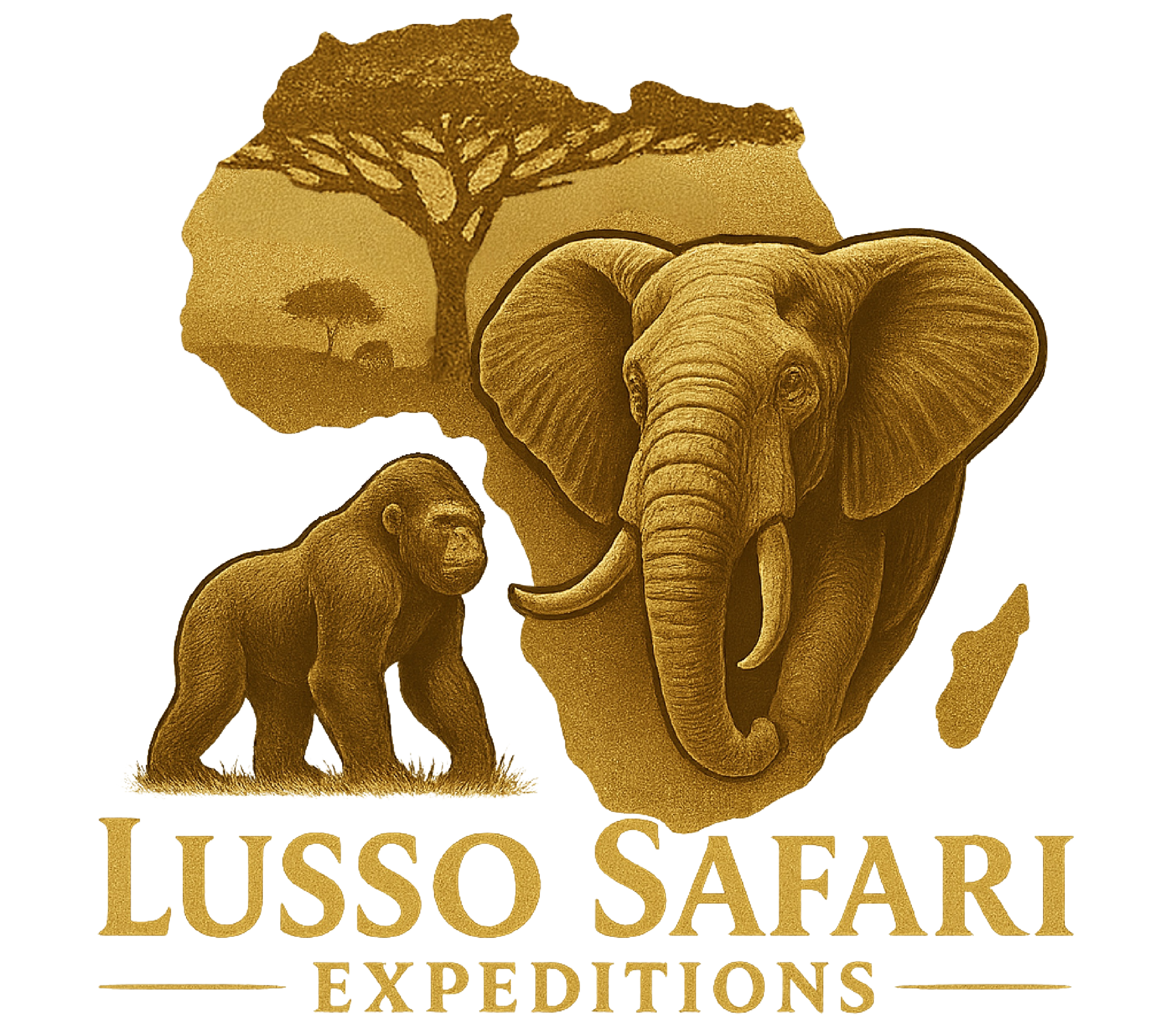 Lusso Safari Expeditions
