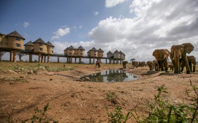 3 Days 2 Nights Voi Safari