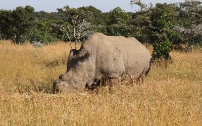 3 Days 2 Nights Sweetwater Safari