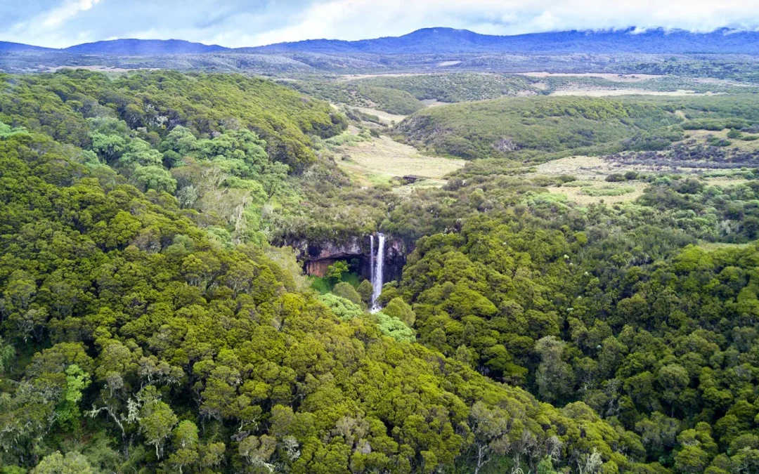 Aberdare National Park – The Heart of Kenya’s High Country