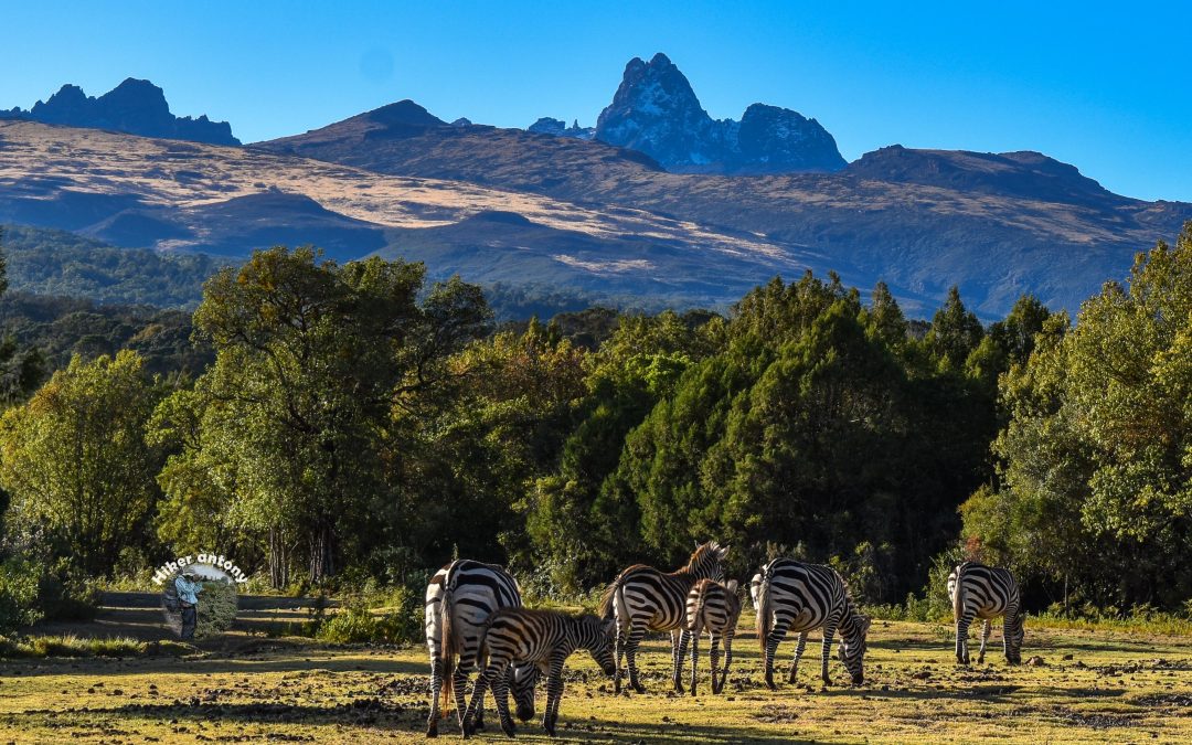 Mount Kenya National Park – Africa’s Second Highest Peak