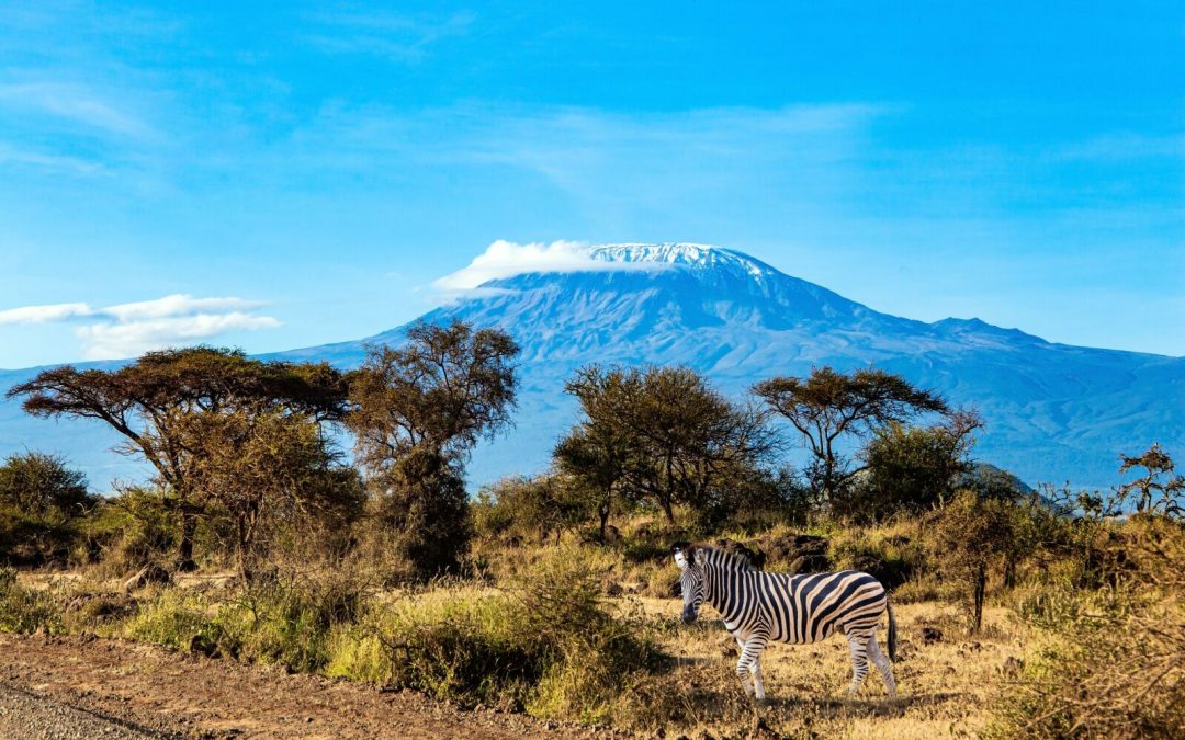 Mount Kilimanjaro National Park – Africa’s Highest Peak