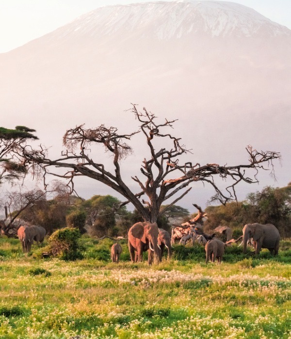 image_views_of_mount_kenya_national_park