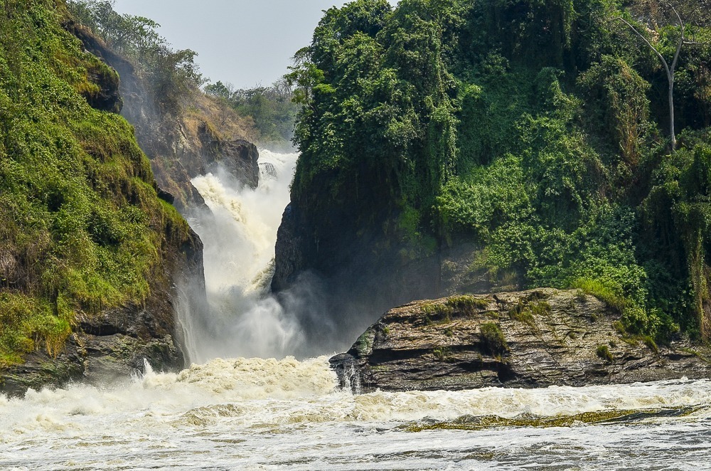 Murchison Falls National Park: watch the Nile Roar to Life